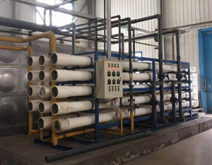 每小時30噸雙級純化水設備